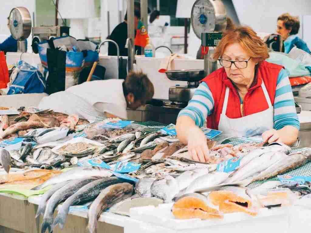 matosinhos seafood tour