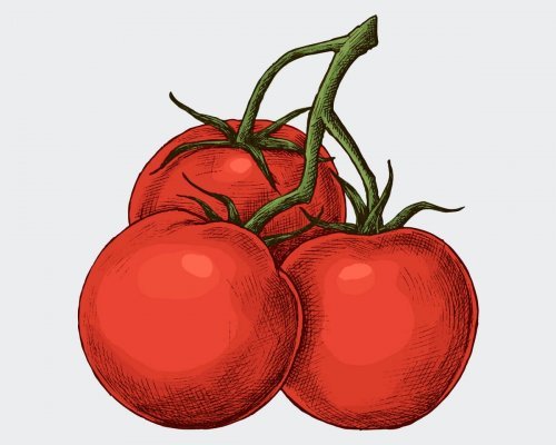 tomates_home